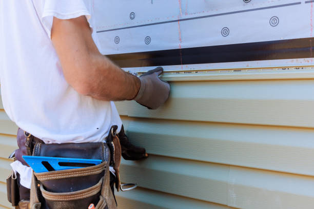 Affordable Vinyl Siding solutions in Ashley, OH